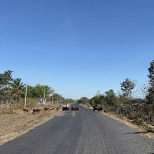 Laos - Attapeu Road
