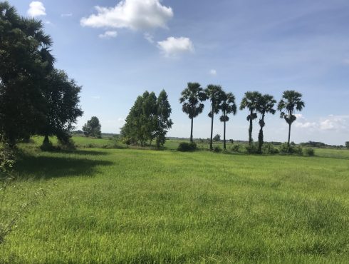 landscape towardsBattambang